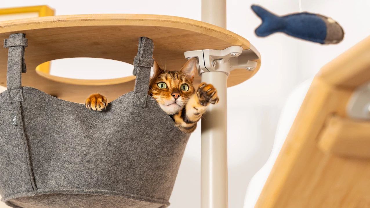 strong-woven-hammock-will-be-a-favorite-cozy-spot-for-your-cat-dc.webp__PID:caeaabc6-a7ee-460a-abd0-e7fce4c2498a