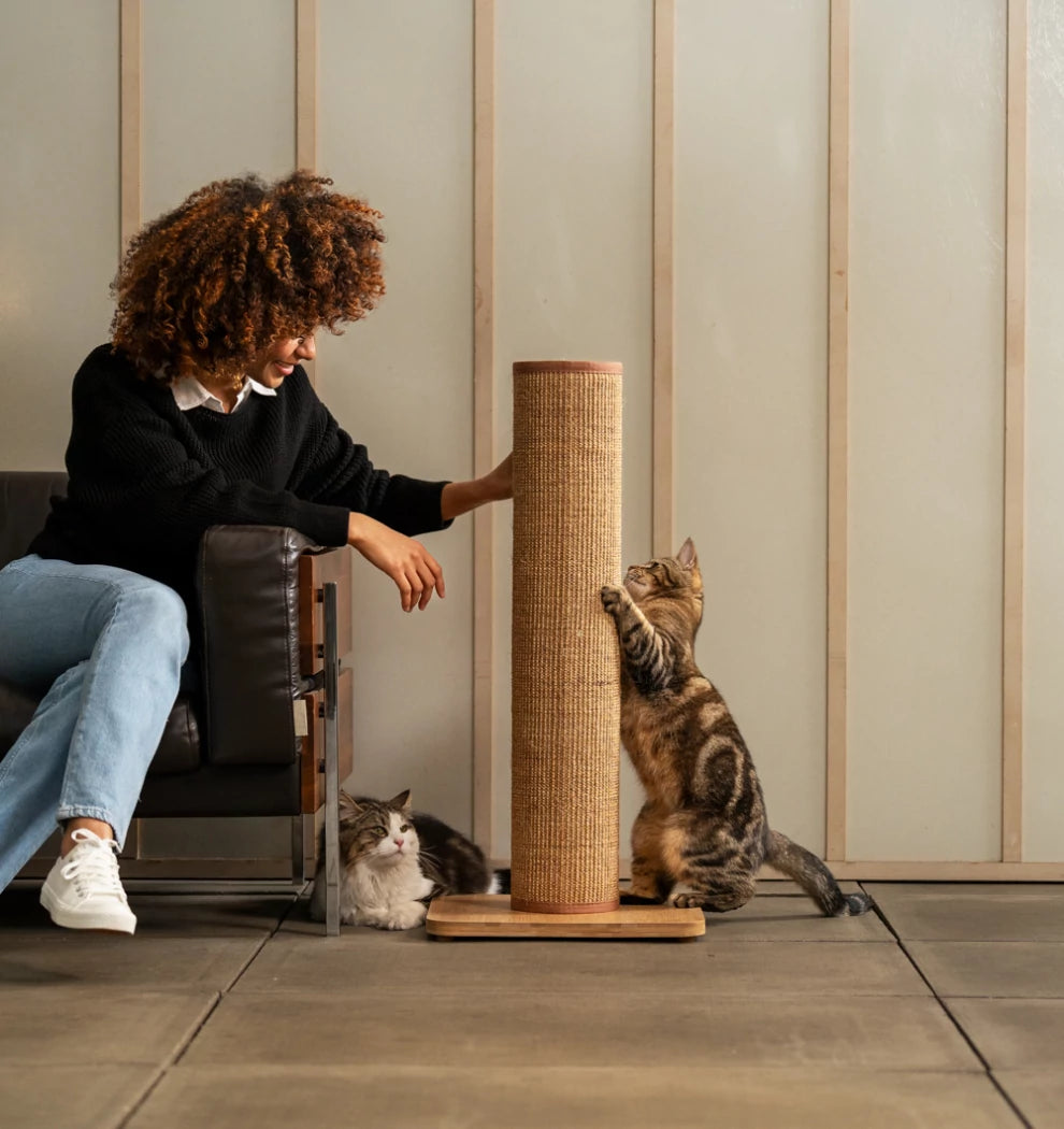 Cats and owners alike love the Switch Cat Scratching Post