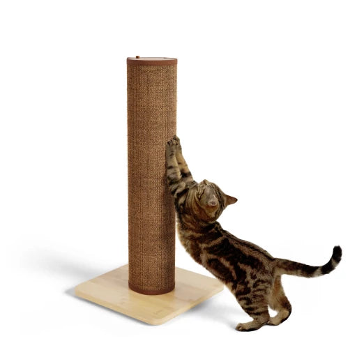 Switch Cat Scratching Post - Coffee
