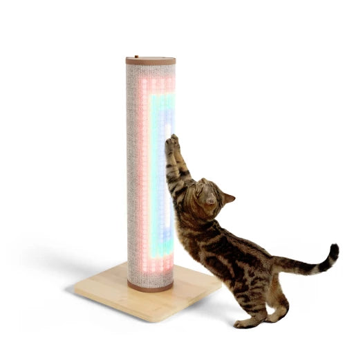 Switch Cat Scratching Post with lights on
