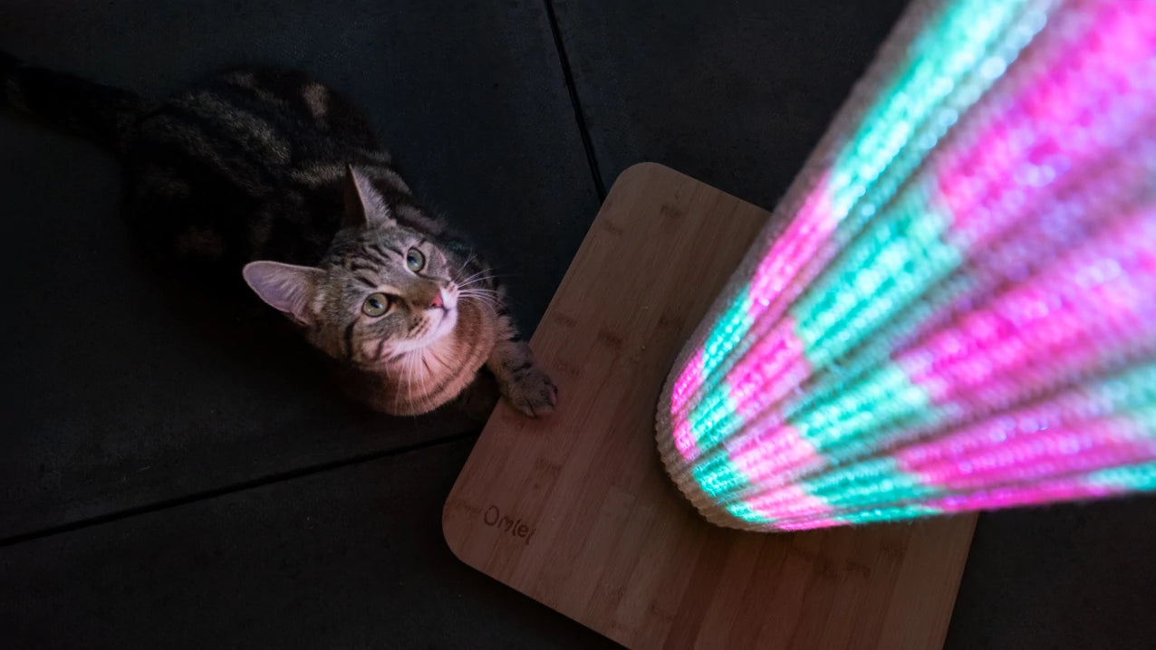 The ultimate in cat captivation. Switch Light Up LED Cat Scratching Post