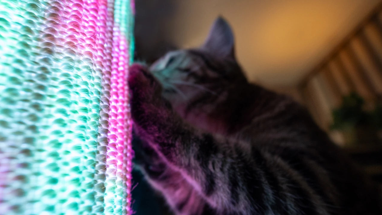 Hours of entertainment awaits your cat. Switch Light Up LED Cat Scratching Post