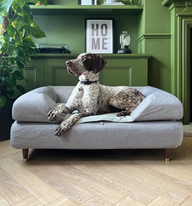 Topology dog bed raised on feet with bolster topper