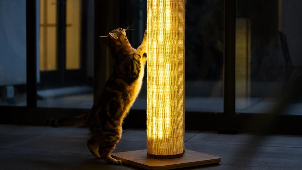 Boredom buster for cats. Taller stronger sturdier. Switch Light Up LED Cat Scratching Post