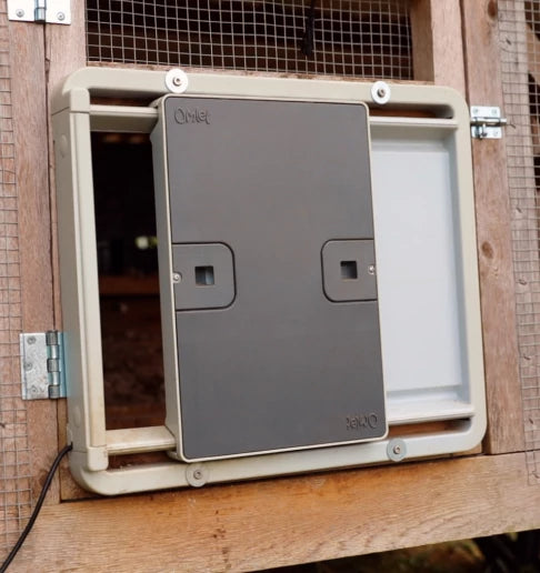 you-can-use-an-autodoor-with-any-type-of-coop-dbnew.webp__PID:65cc843a-fbfe-4ec6-9ae3-1f25ce2791b7