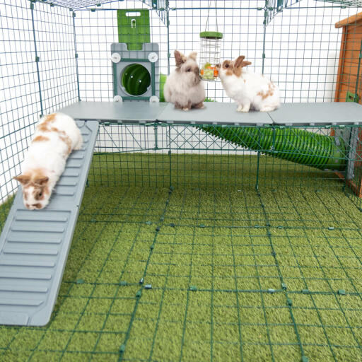Give your rabbits more space with Zippi Platforms