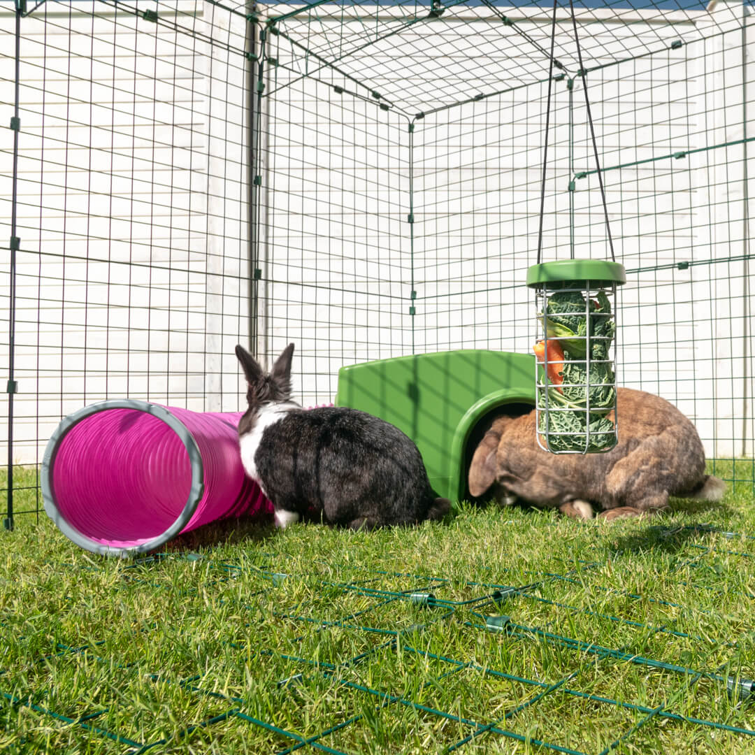 Zippi shelters and play tunnels enrich your rabbits lifestyle