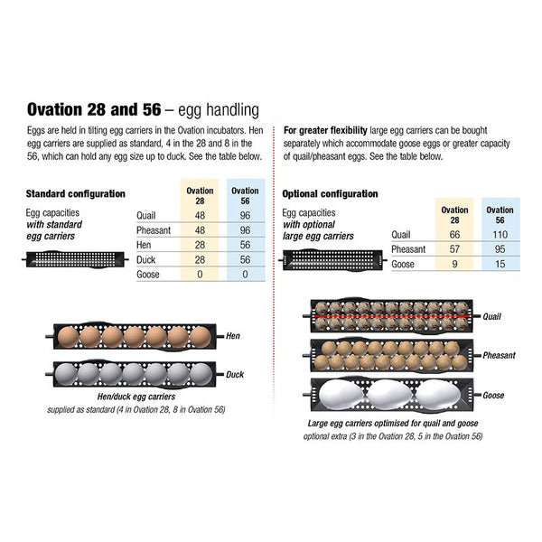 Egg carriers for ovation incubator