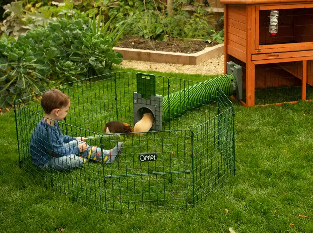 After cleaning always let the hutch dry thoroughly before reintroducing your guinea pigs