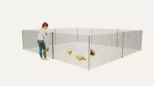 Contain your hens with an Omlet chicken fencing system