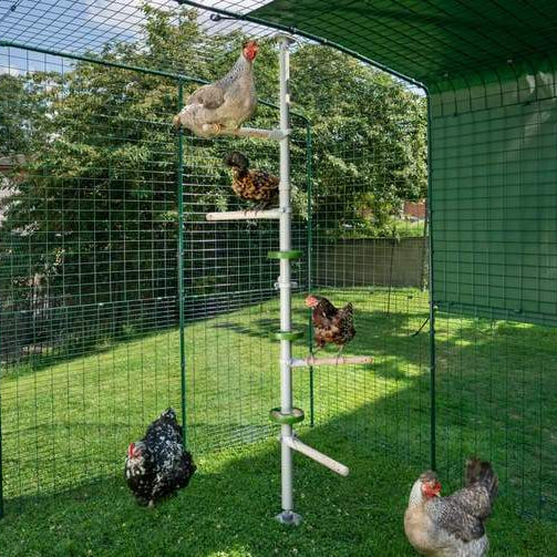 Use all the vertical height in your chicken run with the Omlet Pole-Tree Chicken Perch