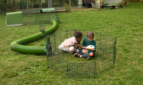 Pet Guinea Pigs and Rabbits are wonderful companions for all ages