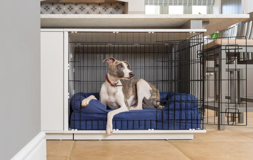 This is the dog crate you will want to have on display in your home!