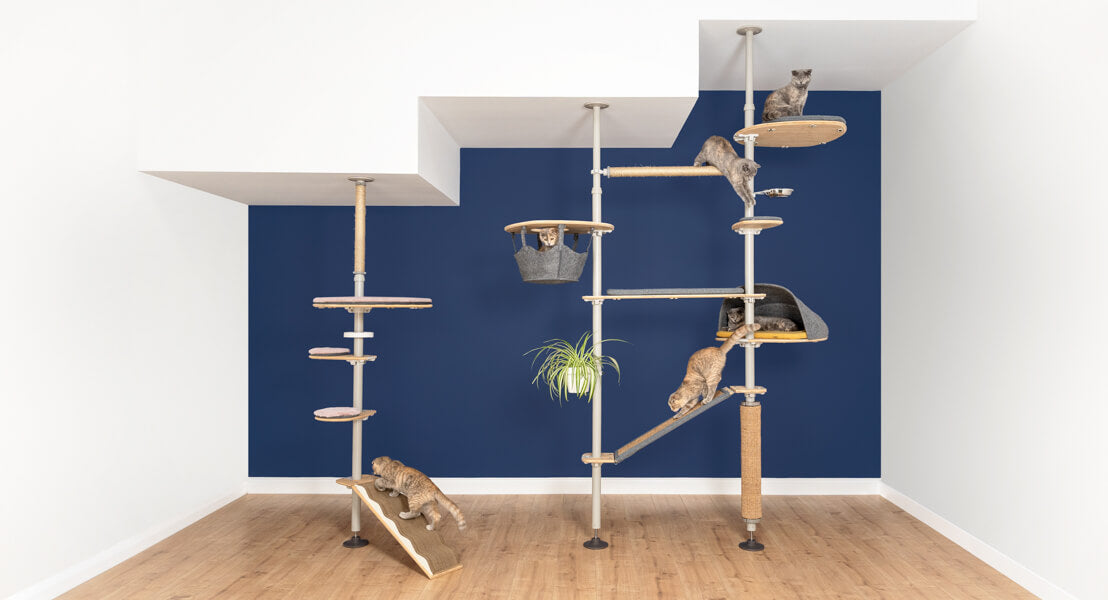 Omlet Freestyle Cat Tree set up