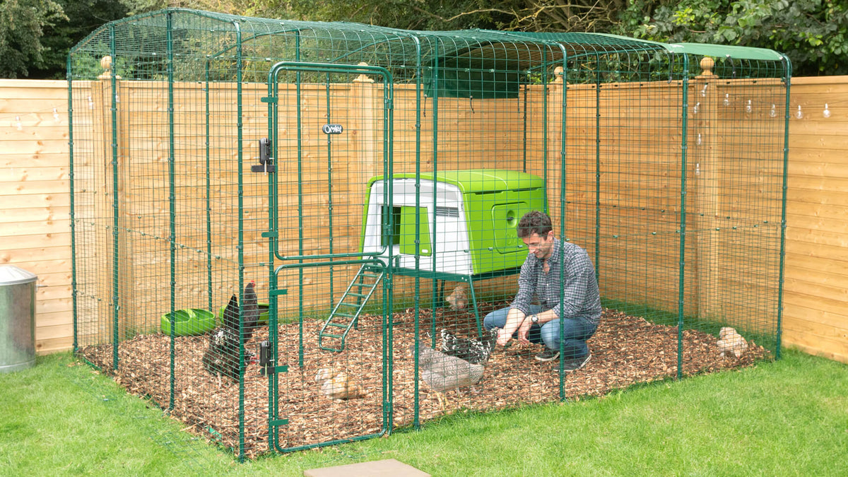 Eglu Cube Chicken Coop inside a Large Omlet Walk In Run (Size D)