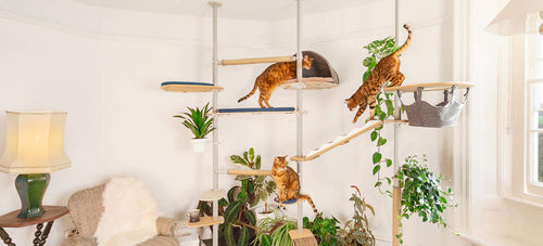 The indoor Freestyle Cat Tree is a fully customisable cat tower, available with a wide range of fun accessories