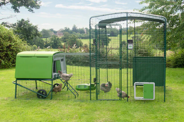 Omlet coops and chicken runs are a great way to keep your pets safe and happy