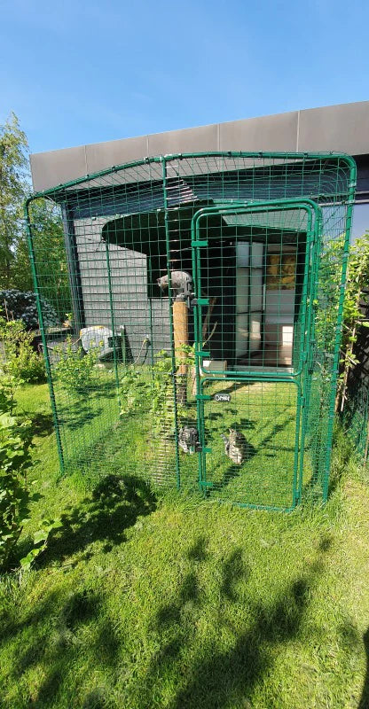 A Catio protects your cats from predators, vehicle traffic and local feline fights