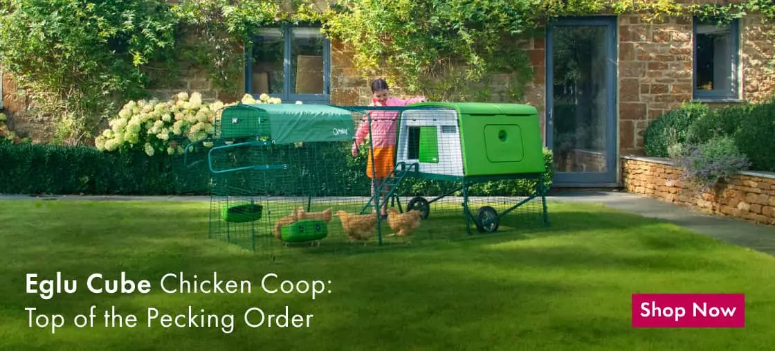 Eglu Cube - Large Chicken Coop