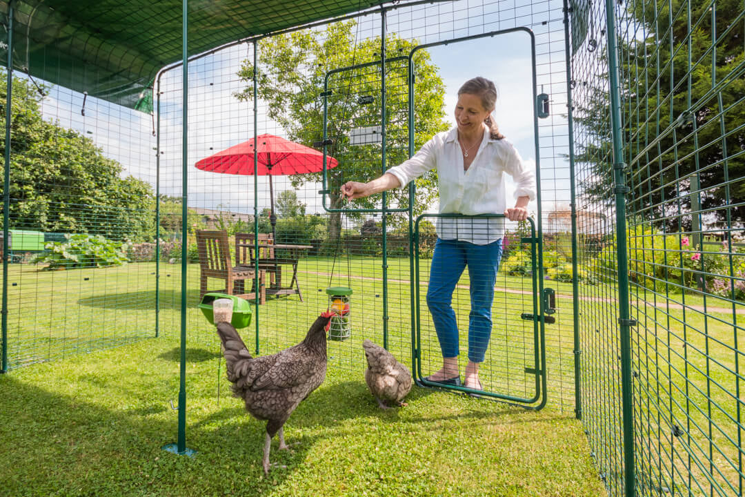 Omlet coops and chicken runs are a great way to bring you and your pets closer together