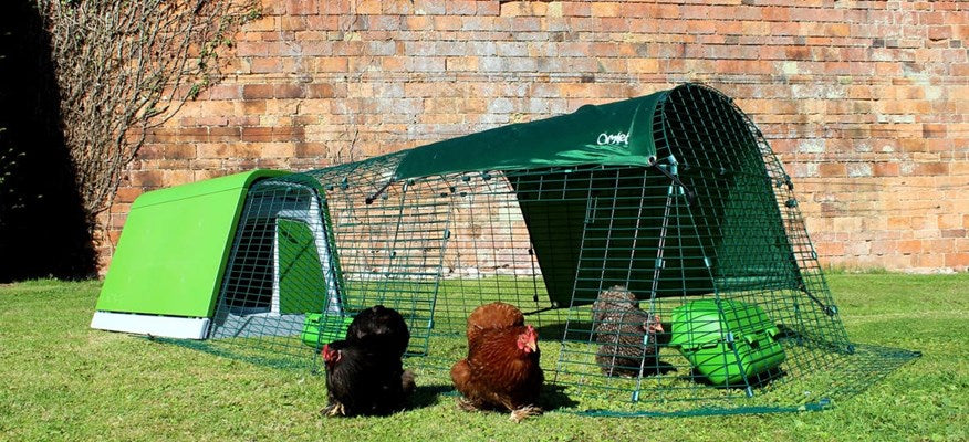 The Eglu Go chicken coop