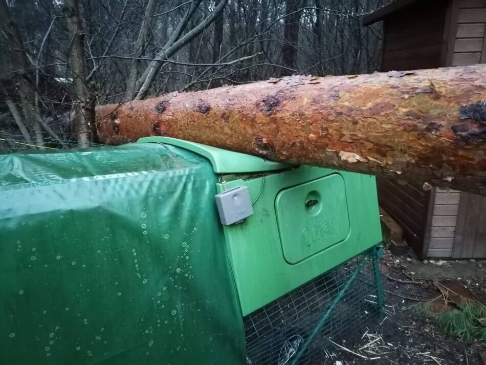 After some chainsaw work we found only one Eglu Cube roof panel was damaged