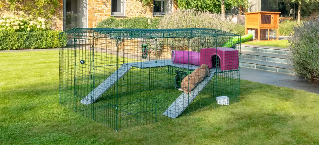 Zippi rabbit run with platform, twin ramps and shelter with play tunnel attached