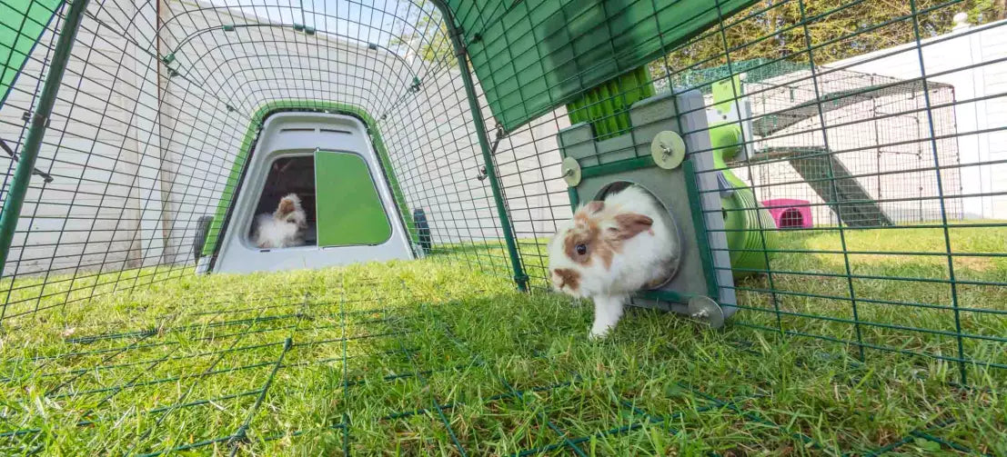 Zippi rabbit tunnels connect your rabbit's hutch to his playpen or run