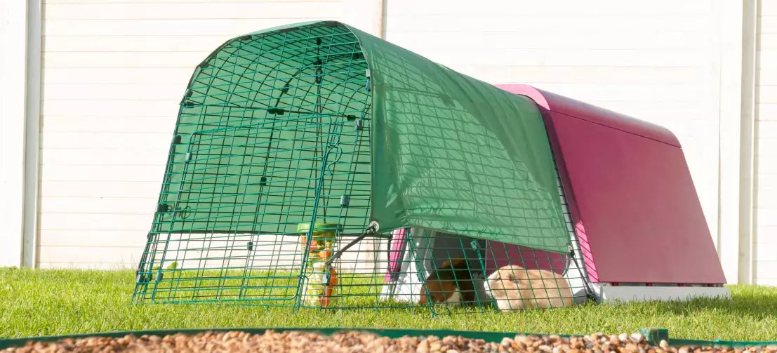 The Eglu Go Hutch with 1m Run is a perfect cavy cave in your garden