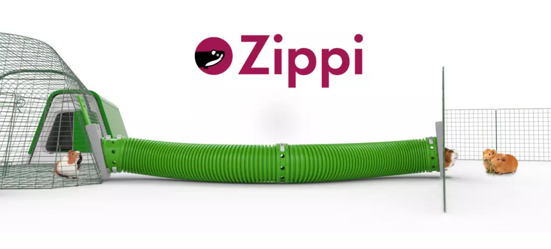 Zippi Guinea Pig and Rabbit Tunnel Systems