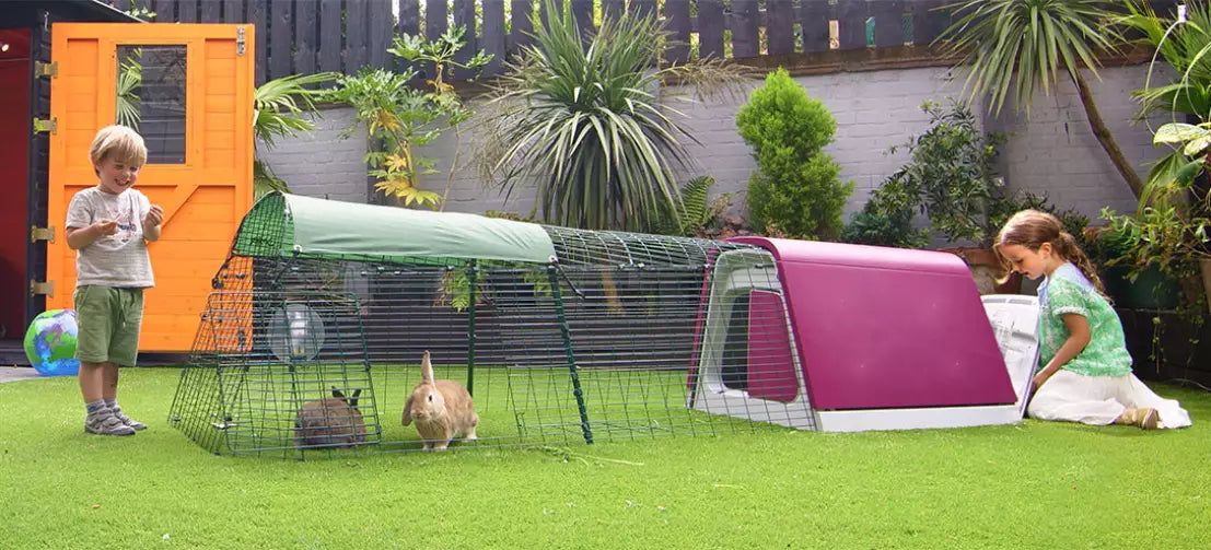The Eglu Go Rabbit Hutch with 2 meter Run makes an ideal safe space for your pet rabbits