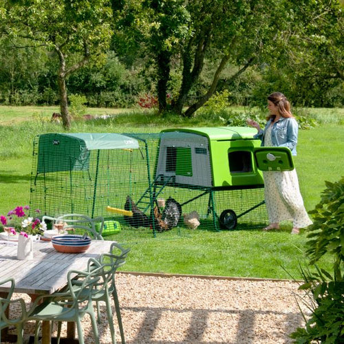 Plastic coops are immensely easier to clean than wooden coops and will last longer