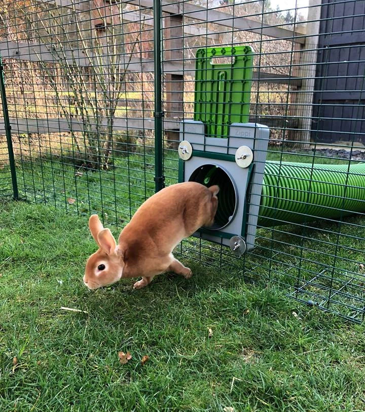 Rabbits need somewhere to sleep and feel secure, and somewhere to exercise.
