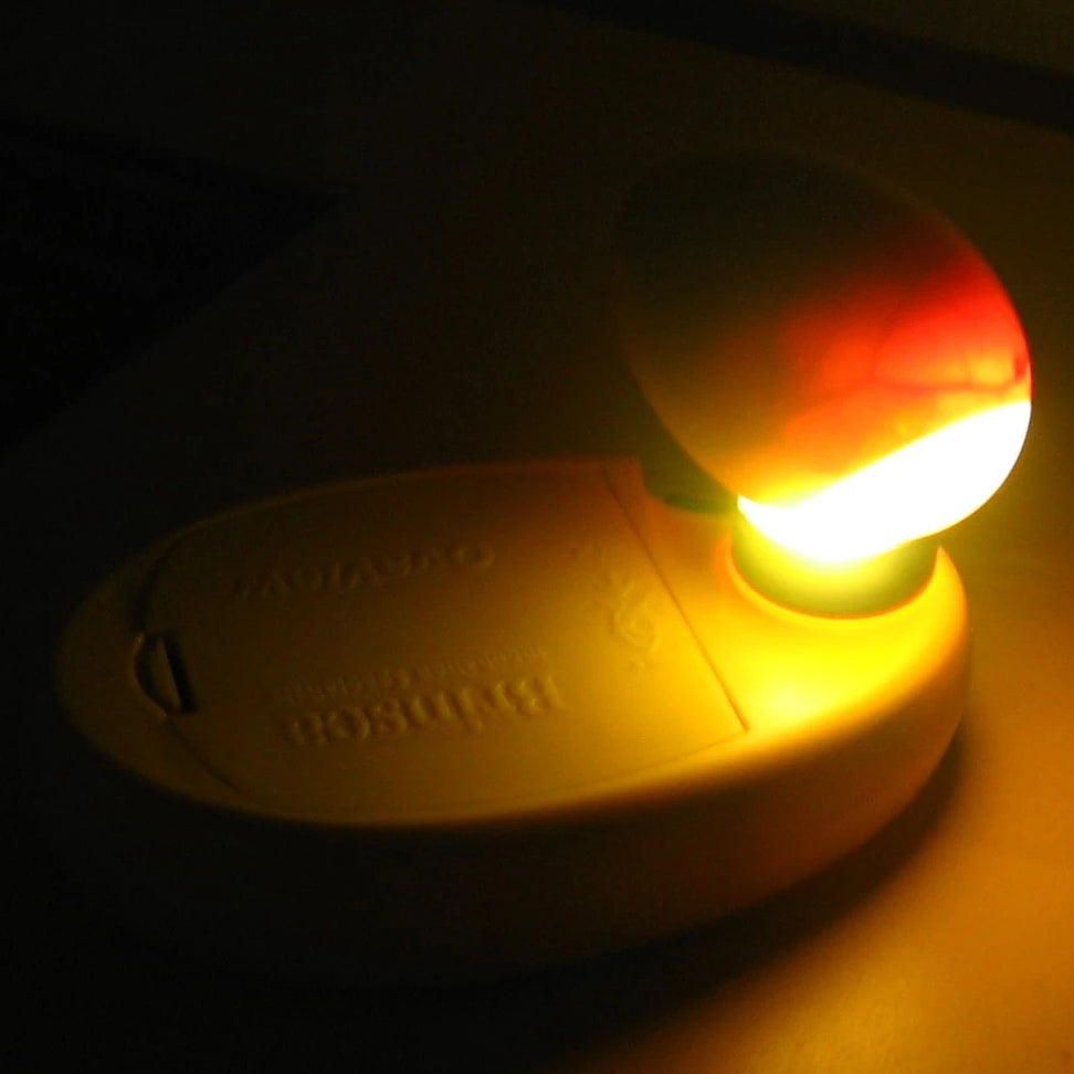 Check the eggs interior for fertility with a candling lamp