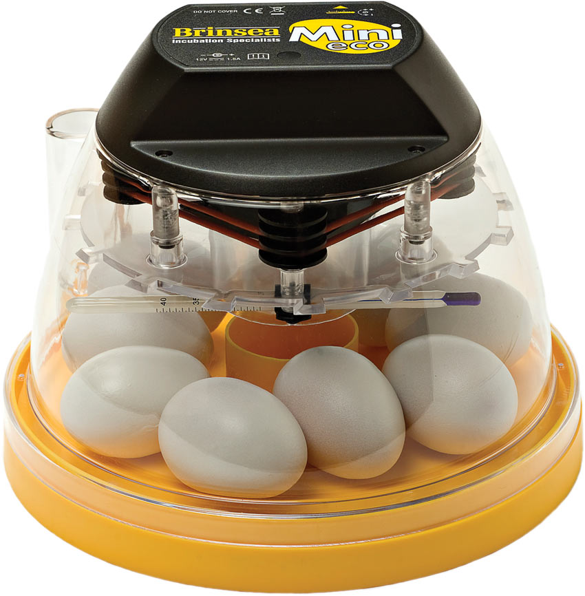 Brinsea Mini 11 Eco Incubator is a great entry level incubator