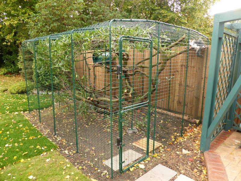 Placed over a tree this 3m x 4m (Size D) Catio is the perfect garden retreat for any adventurous cat