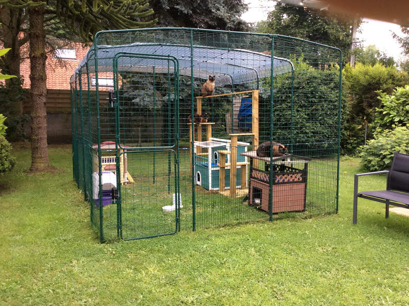 This spacious Catio is 3m x 4m (Size D) and works brilliantly set up under the trees with clear rain covers at one end