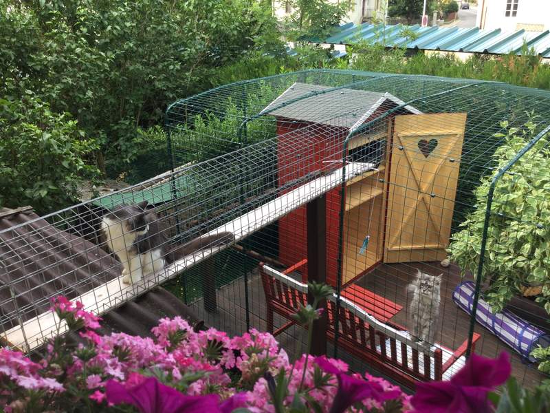 A creative tunnel connection links this Omlet Catio to the house