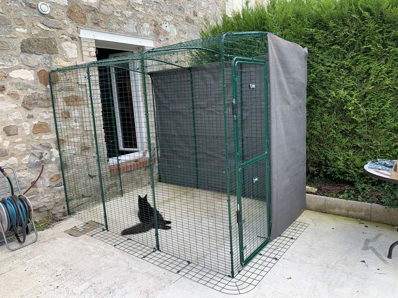 This 2m x 3m (Size B) Catio offers this content black cat access to the sun directly through the windows