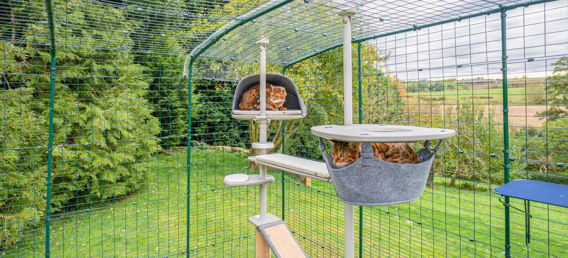 Provide your cats with relaxing spots for those all-important cat naps, like in dens and hammocks.