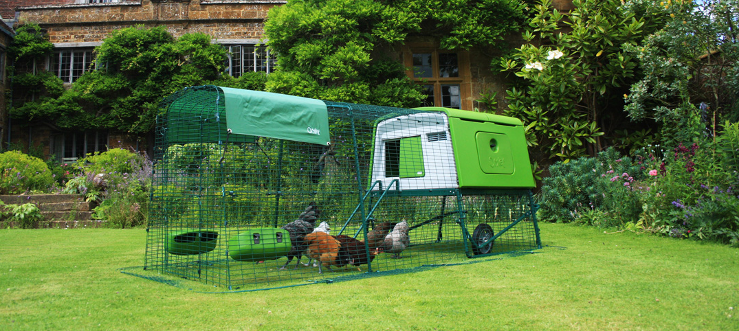 Eglu Cube comfortably accommodate six large hens, or eight medium size hens, or up to ten bantams
