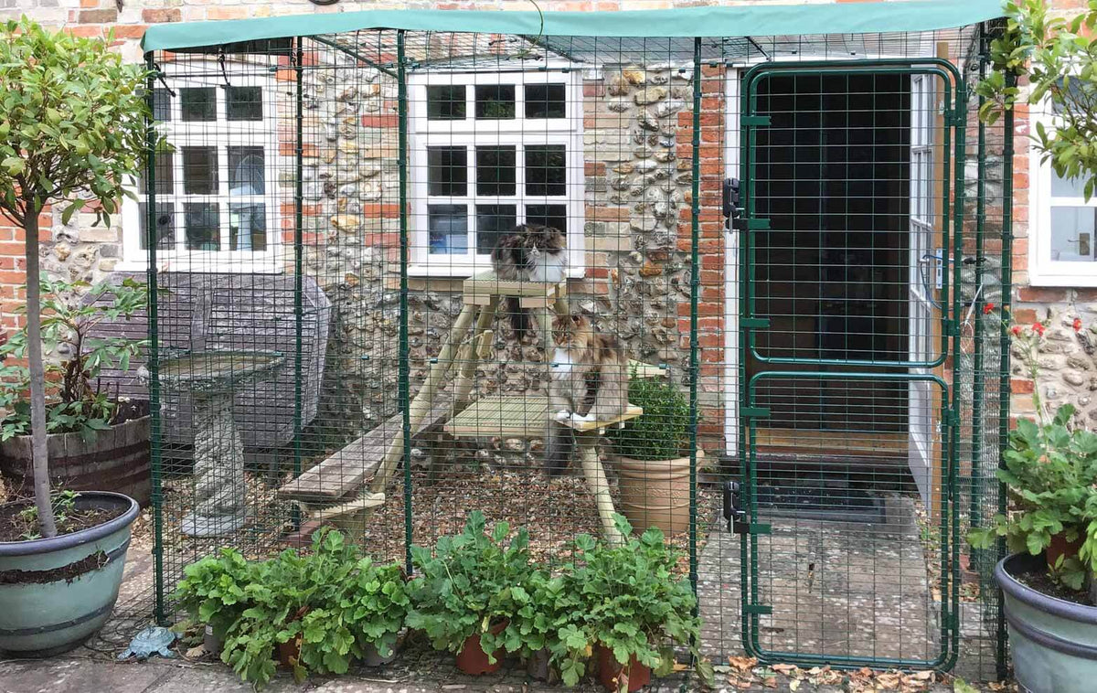 This Omlet Catio 2m x 3m (Size B) has been set up alongside the house with direct access to the house via the house door