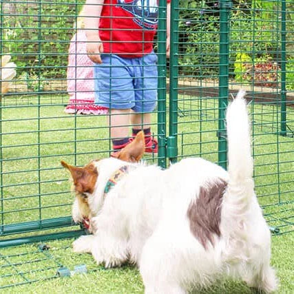 The Omlet Catio has a detachable anti-tunnel skirt. 