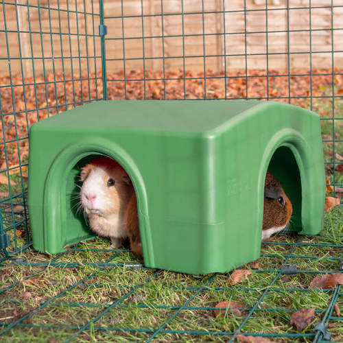 Give your guinea pigs safe shelter to relax or hide