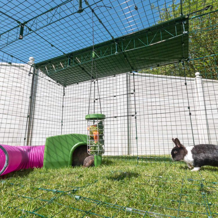Extend their exercise space with a playpen or secure garden area 