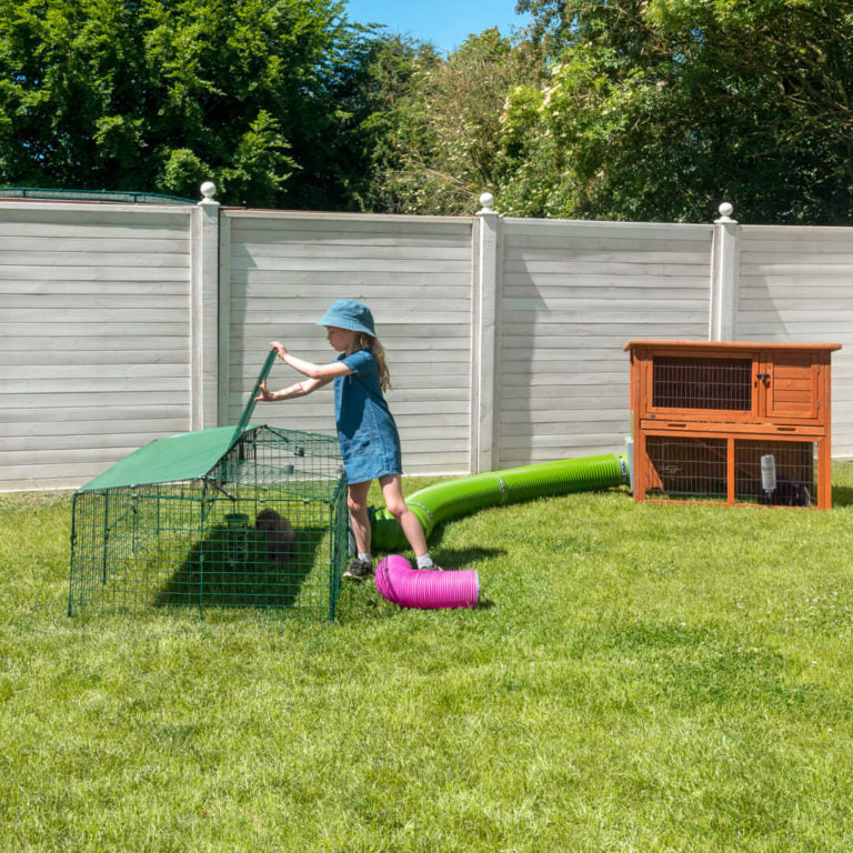 Rabbits and Guinea Pigs can exercise more if they have plenty of space to move around in