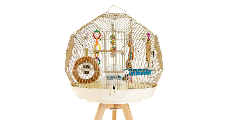 Toys provide budgies with physical and mental stimulation as well as a lot of fun
