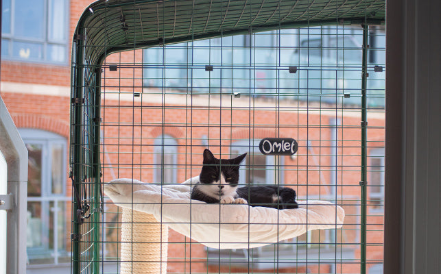 add covers to your Cat Balcony Enclosure so that your cats are kept shaded and dry at all times.