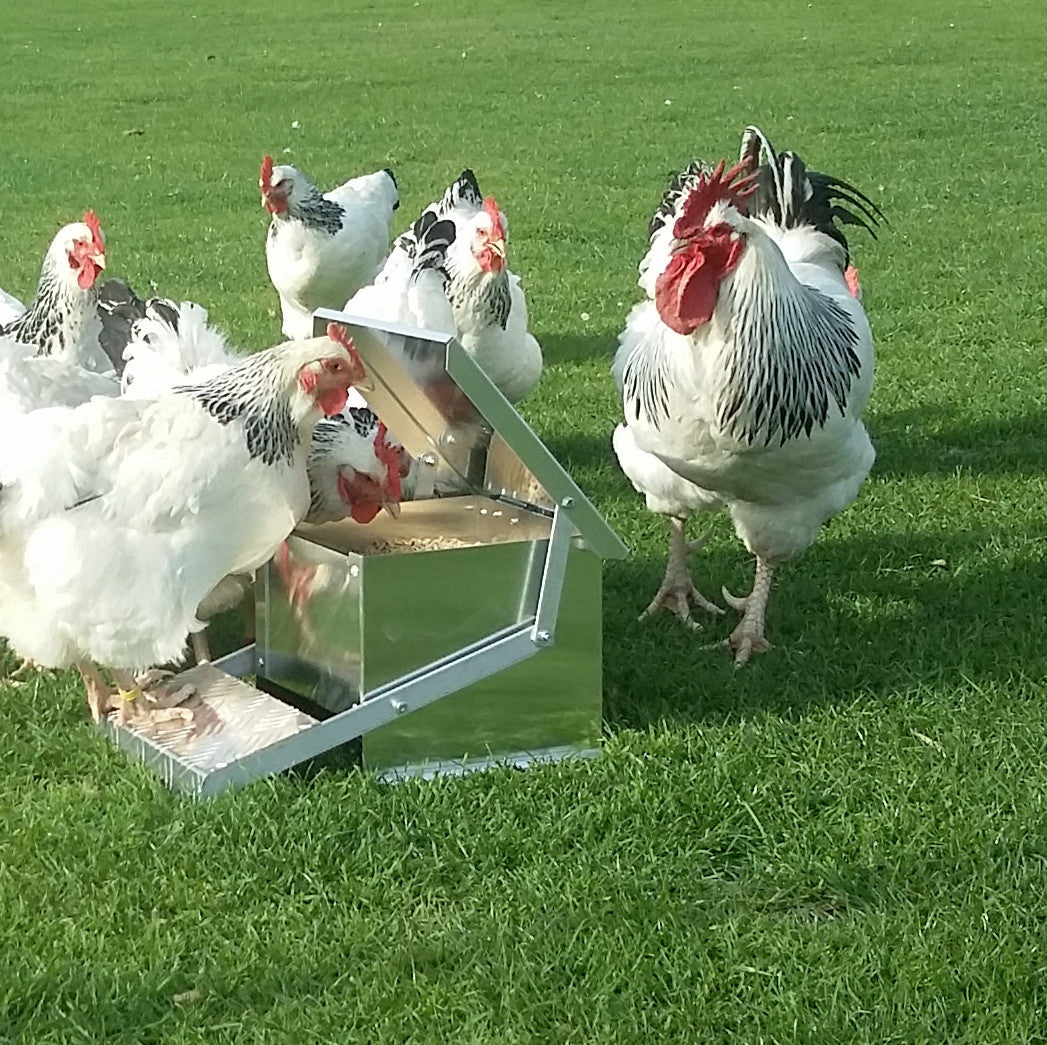 Appletons step on feeders are built in New Zealand