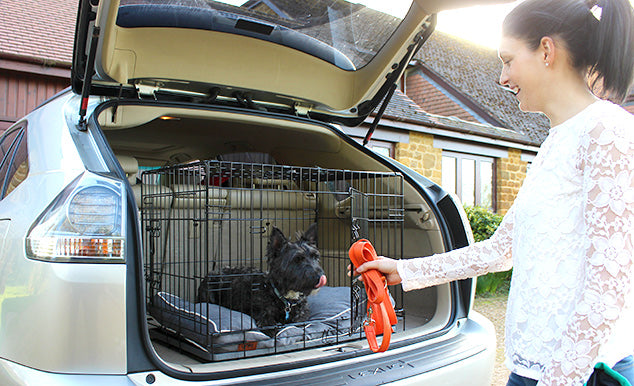 Using a dog crate is the safest way to transport your dog on car journeys